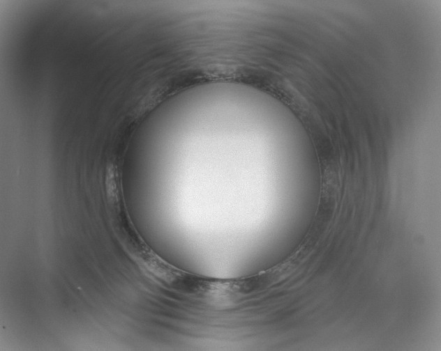 X0000073480130200608140826