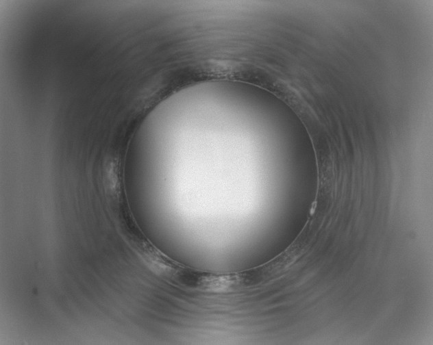 X0000073480131200608140826