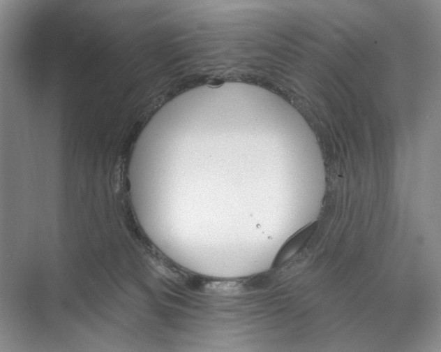 X0000073480133200608140826