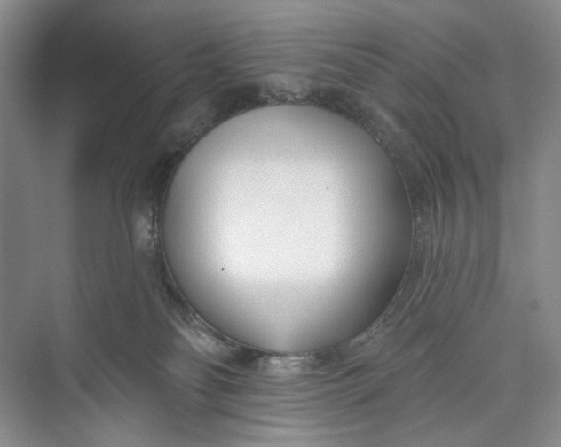 X0000073480134200608140826