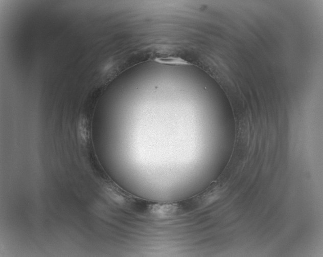 X0000073480135200608140826