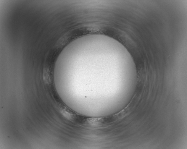 X0000073480136200608140826