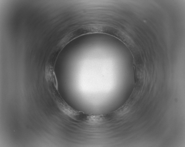 X0000073480141200608140826