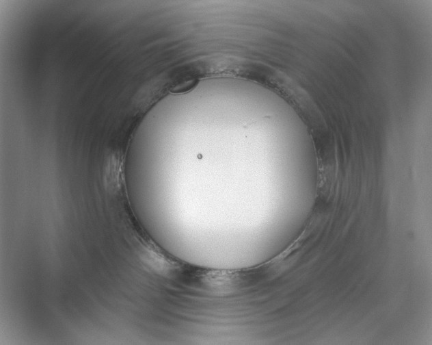 X0000073480142200608140826