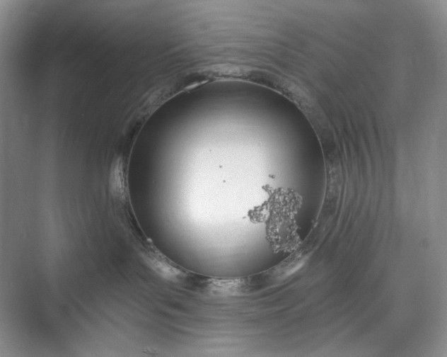 X0000073480143200608140826