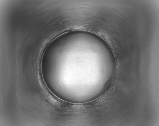 X0000073480145200608140825