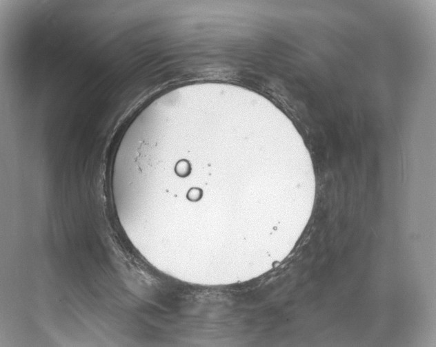 X0000073480146200608140825