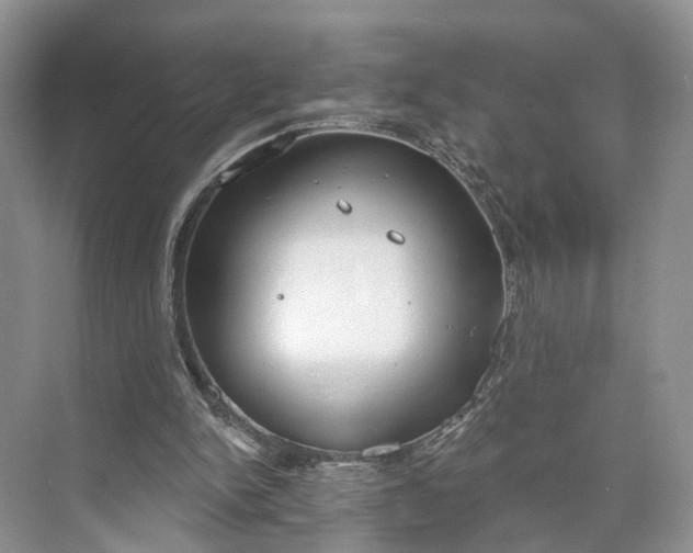 X0000073480150200608140825