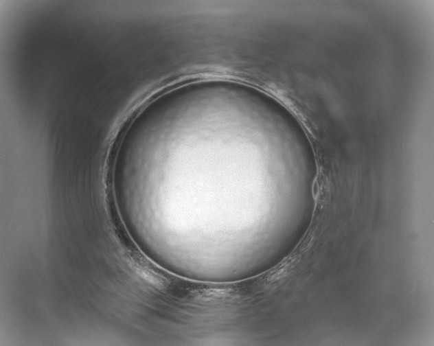 X0000073480151200608140825