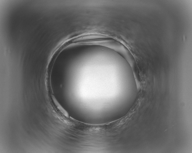 X0000073480152200608140825