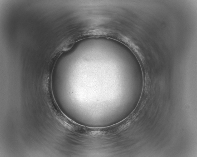 X0000073480153200608140825