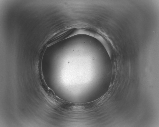 X0000073480154200608140825