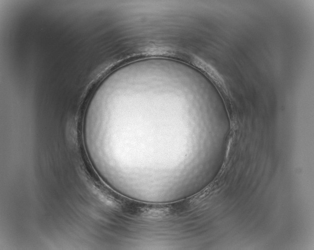 X0000073480155200608140825