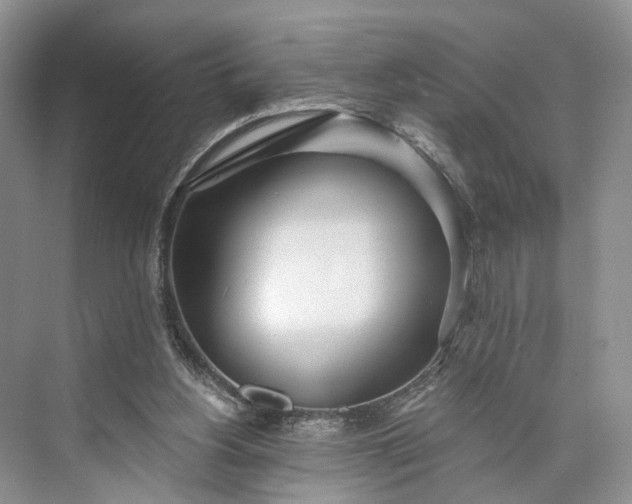 X0000073480156200608140825