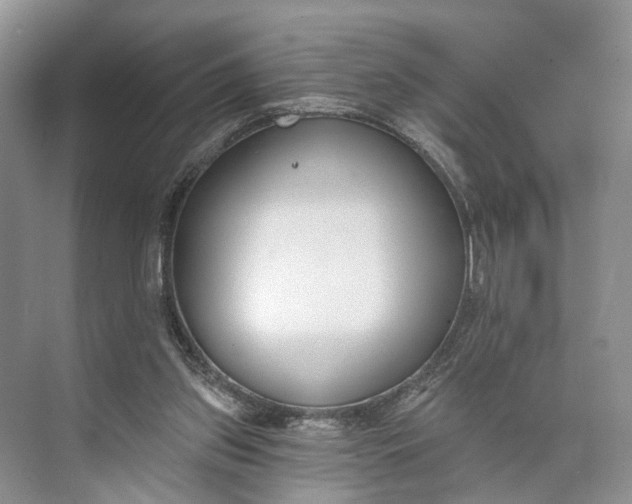 X0000073480157200608140825