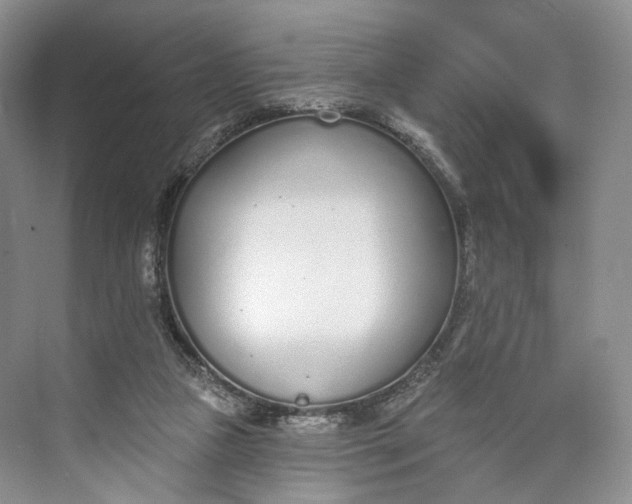 X0000073480161200608140825