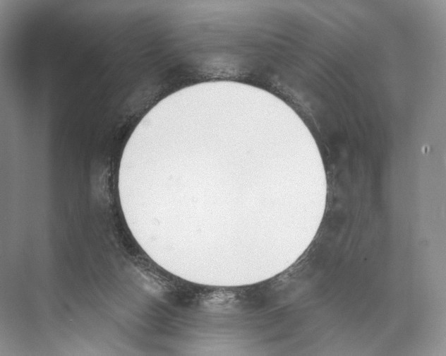 X0000073480162200608140825