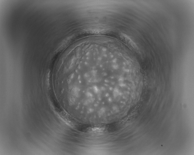 X0000073480163200608140825