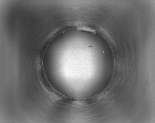 X0000073480164200608140825