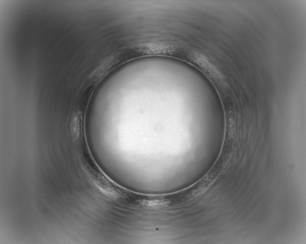 X0000073480165200608140825