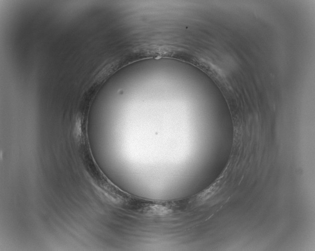 X0000073480166200608140825