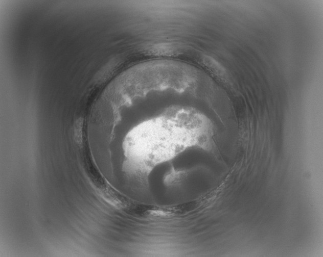 X0000073480167200608140825