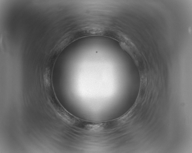 X0000073480170200608140825