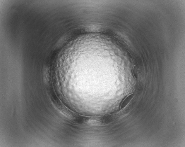 X0000073480171200608140825