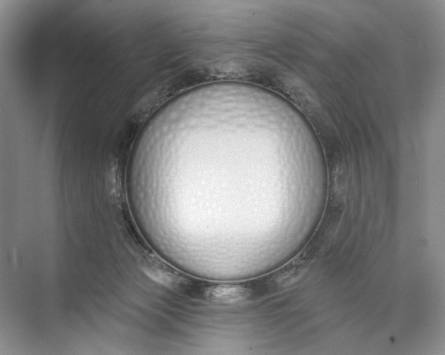 X0000073480173200608140825