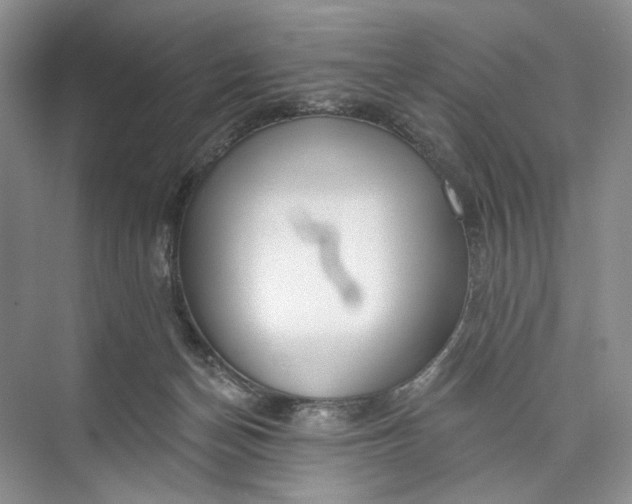 X0000073480174200608140825