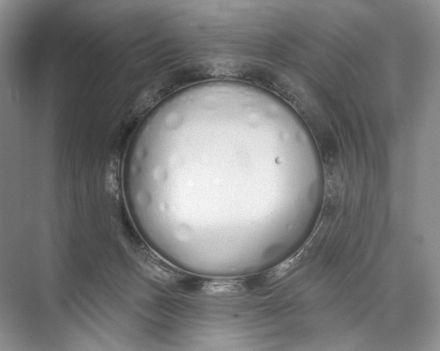 X0000073480175200608140825