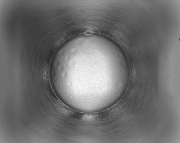 X0000073480177200608140825