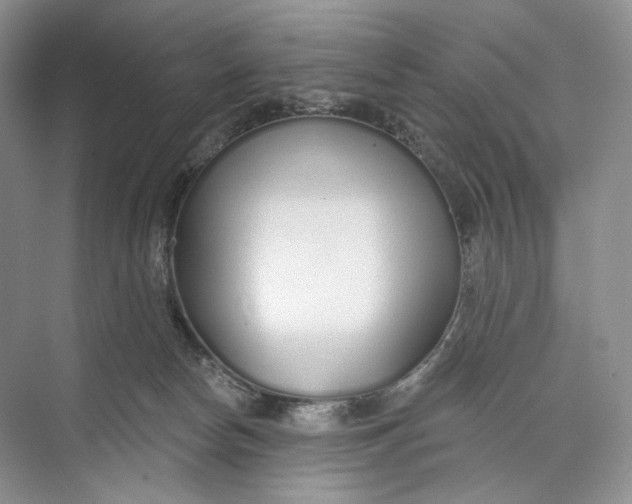 X0000073480178200608140825