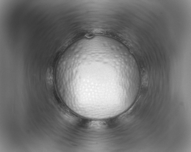 X0000073480179200608140825