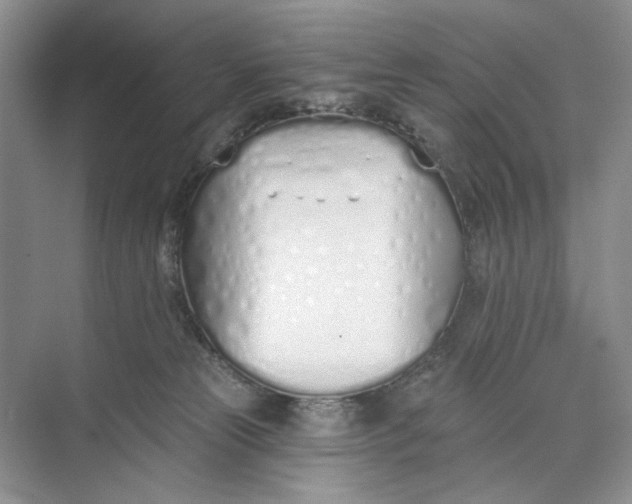 X0000073480181200608140826