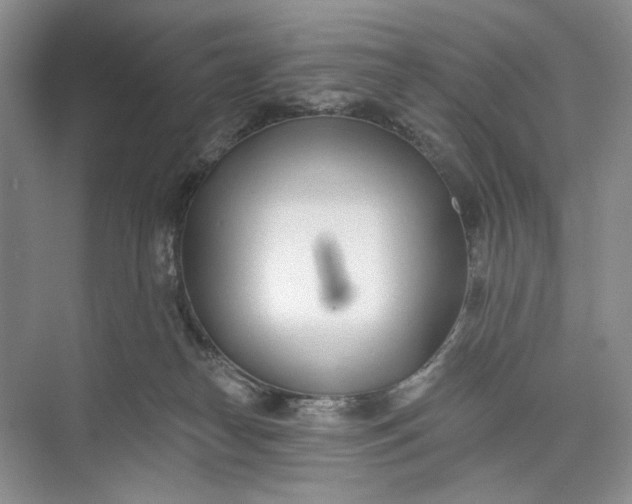 X0000073480182200608140826