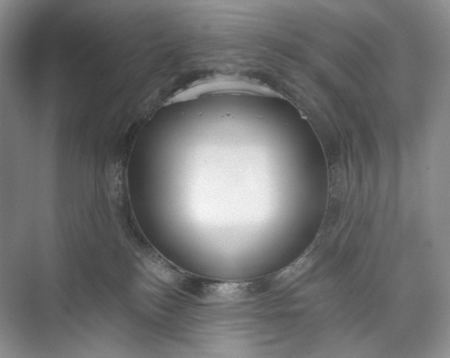 X0000073480184200608140826