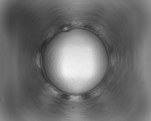 X0000073480185200608140826