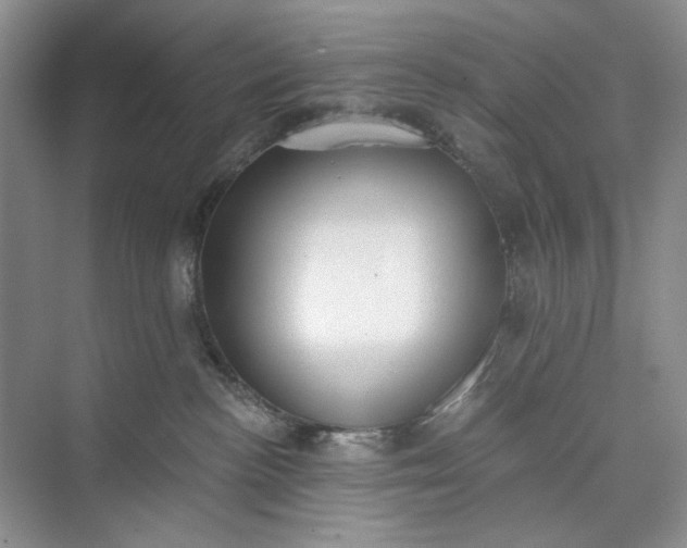 X0000073480188200608140826