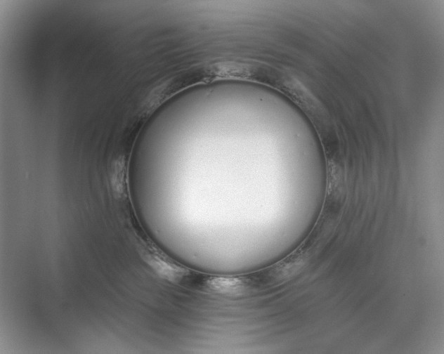 X0000073480189200608140826