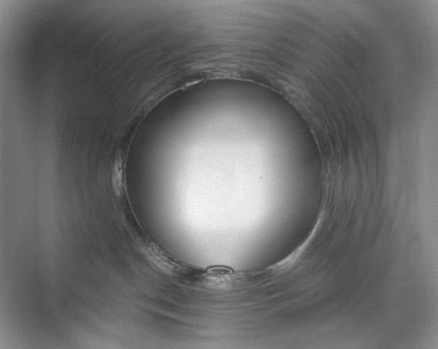 X0000073480190200608140826