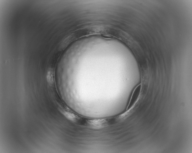 X0000073480191200608140826