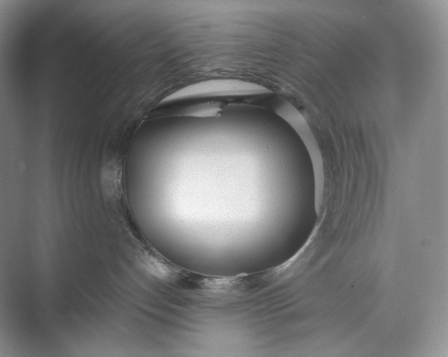 X0000073480192200608140826