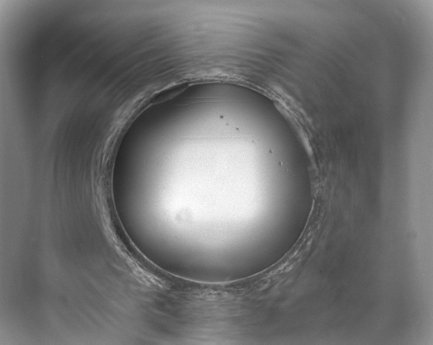 X0000073480193200608140825