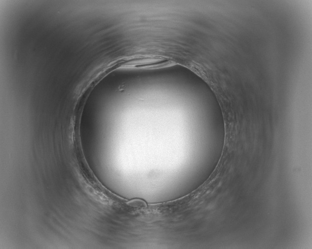 X0000073480194200608140825