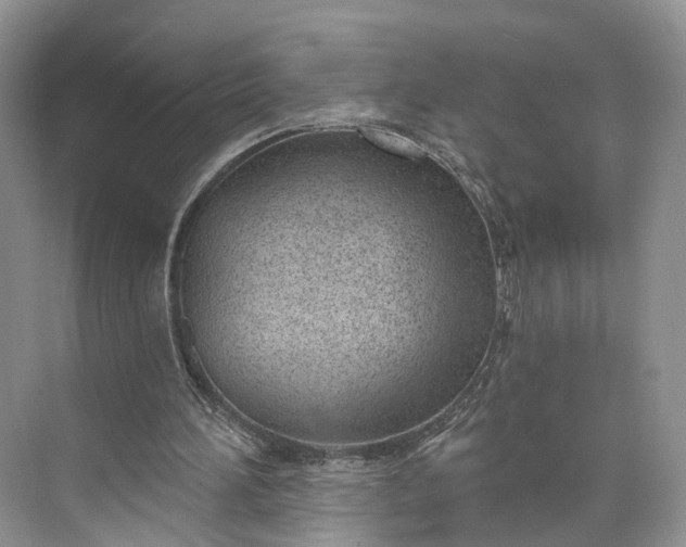 X0000073480196200608140825