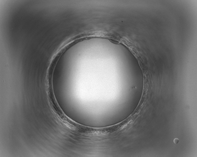 X0000073480198200608140825