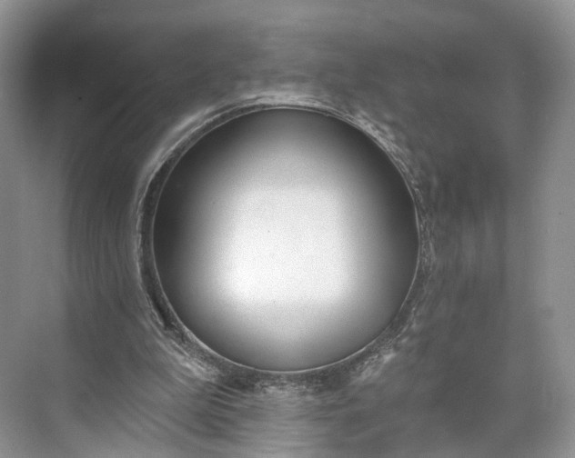 X0000073480199200608140825