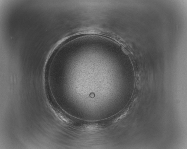 X0000073480200200608140825