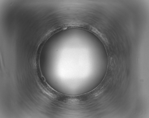 X0000073480203200608140825